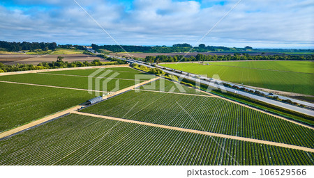 Dark green strawberry fields with roads and distant highway cutting through countryside aerial Dark green strawberry fields with roads and distant highway cutting through countryside aerial 106529566