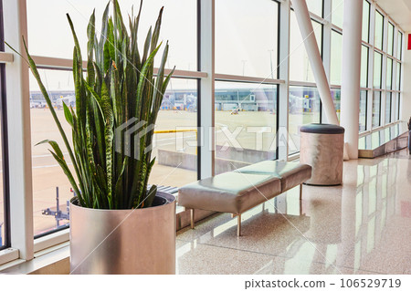 Generic airport hallway with green plant and bench beside windows with bright light 106529719