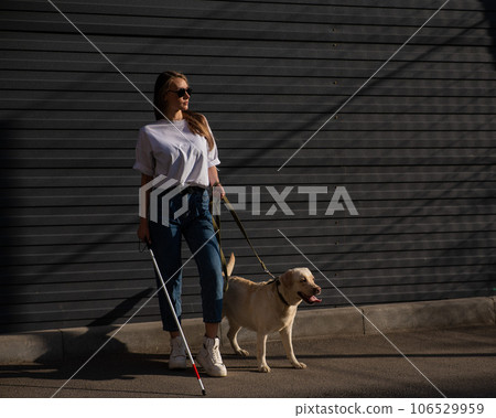 Blind woman walking guide dog outdoors.  106529959