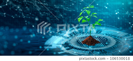Tree with soil growing on the converging point of computer circuit board. Blue light and wireframe network background. Green Computing, Green Technology, Green IT, csr, and IT ethics Concept. Tree with soil growing on the converging point of computer circuit board. Blue light and wireframe network background. Green Computing, Green Technology, Green IT, csr, and IT ethics Concept. 106530018