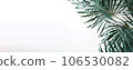 Green tropical leaves on white background with copy space, banner style for summer and spring concpet 106530082
