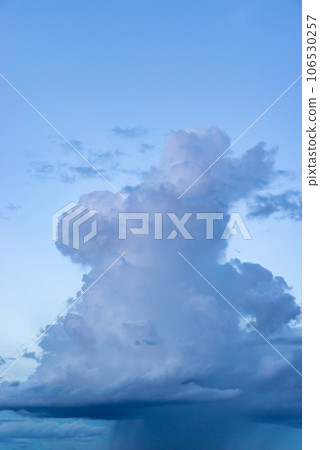Cumulonimbus clouds rising in the late summer evening sky and rain pillars below them 106530257