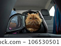 Pet carrier in the car on the seat. Traveling with an animal. 106530501