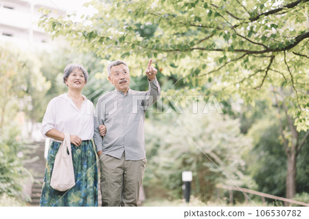 Senior couple with cuddling smile 106530782