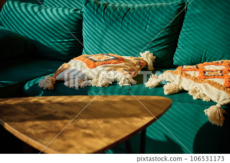 Living room interior with green sofa and coffee table with sunlight. Place for relax at cozy home. Living room interior with green sofa and coffee table with sunlight. Place for relax at cozy home. 106531173