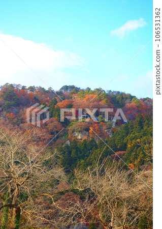 Tateishi Temple Yamadera Autumn Leaves Yellow Leaves Tateishi Temple Yamadera Autumn Leaves Yellow Leaves 106531362
