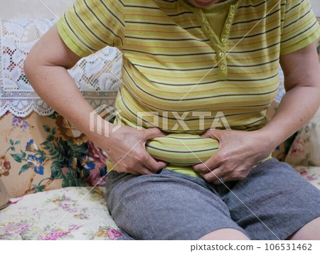 患有肥胖症的老年婦女 患有肥胖症的老年婦女 106531462