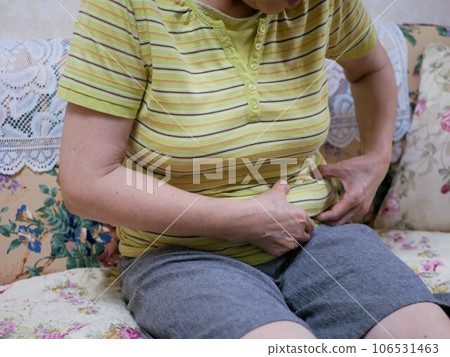 患有肥胖症的老年婦女 患有肥胖症的老年婦女 106531463