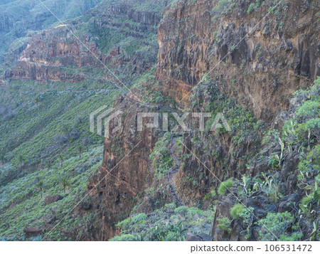 Scenic landscape at hiking trail through Barranco de Guarimiar Gorge. Green mountain canyon slopes with palm trees and succulent vegetation. La Gomera, Canary Islands, Spain, Europe. Scenic landscape at hiking trail through Barranco de Guarimiar Gorge. Green mountain canyon slopes with palm trees and succulent vegetation. La Gomera, Canary Islands, Spain, Europe. 106531472