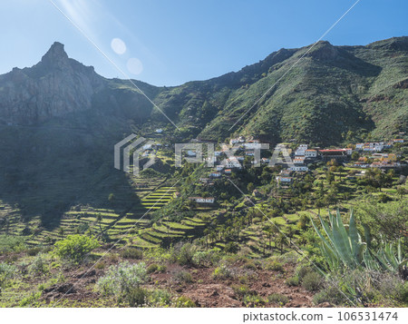 Scenic landscape with Roque de Imada rock and village at hiking trail Barranco de Guarimiar Gorge. Green mountain canyon with palm trees and succulent vegetation. La Gomera, Canary Islands, Spain Scenic landscape with Roque de Imada rock and village at hiking trail Barranco de Guarimiar Gorge. Green mountain canyon with palm trees and succulent vegetation. La Gomera, Canary Islands, Spain 106531474
