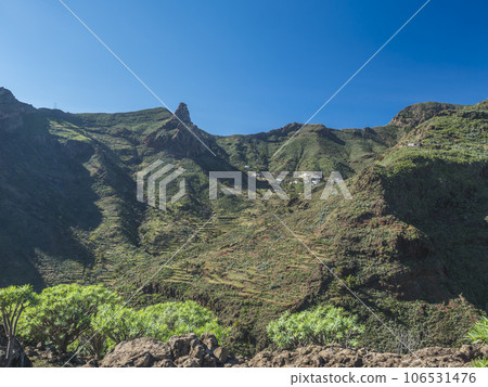 Scenic landscape with Roque de Imada rock and village at hiking trail Barranco de Guarimiar Gorge. Green mountain canyon with palm trees and succulent vegetation. La Gomera, Canary Islands, Spain 106531476