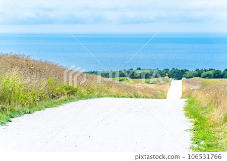 White road Cape Soya 106531766