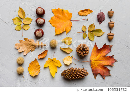 Autumn composition. Pattern made of dried leaves and other design accessories on table. Flat lay, top view Autumn composition. Pattern made of dried leaves and other design accessories on table. Flat lay, top view 106531782