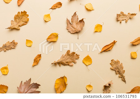 Autumn composition. Pattern made of dried leaves and other design accessories on table. Flat lay, top view 106531793