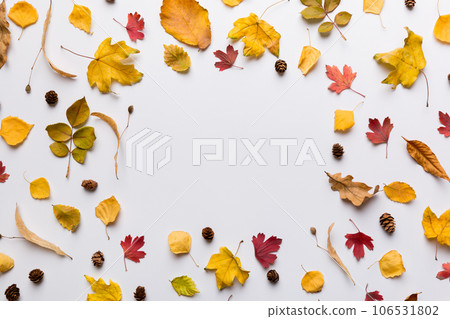 Autumn composition made of dried leaves, cones and acorns on table. Flat lay, top view 106531802