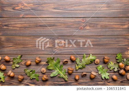 Branch with green oak tree leaves and acorns on colored background, close up top view 106531841