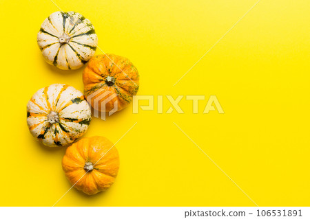 Autumn composition of little orange pumpkins on colored table background. Fall, Halloween and Thanksgiving concept. Autumn flat lay photography. Top view vith copy space Autumn composition of little orange pumpkins on colored table background. Fall, Halloween and Thanksgiving concept. Autumn flat lay photography. Top view vith copy space 106531891