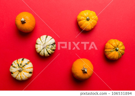 Autumn composition of little orange pumpkins on colored table background. Fall, Halloween and Thanksgiving concept. Autumn flat lay photography. Top view vith copy space 106531894