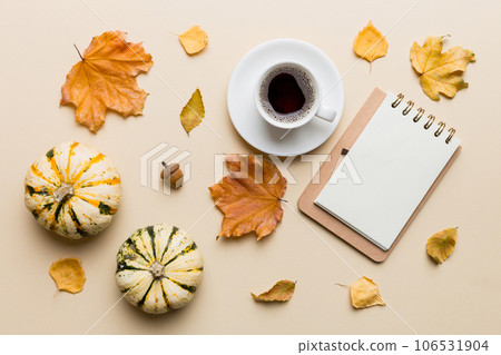 Autumn composition 106531904