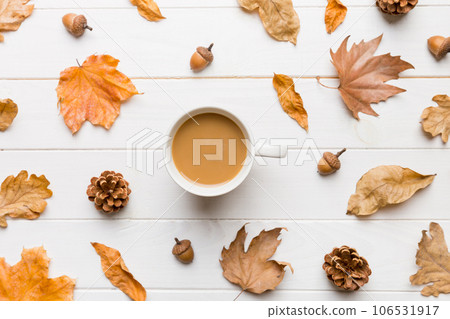 Cup of cocoa with autumn leaves abstract still life top view vith copy space Cup of cocoa with autumn leaves abstract still life top view vith copy space 106531917