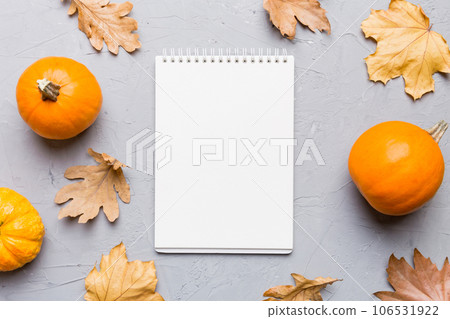 Autumn composition 106531922