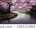 Beautiful landscape of river and blooming cherry blossoms in spring, Japan 106531969