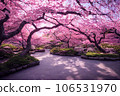 Beautiful landscape of garden and blooming cherry blossoms in spring, Japan 106531970