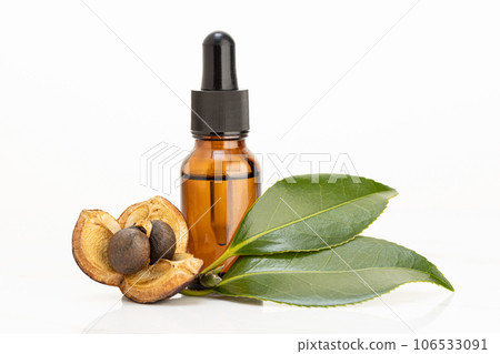 Camellia essential oil amber bottle, camellia nut with seeds and leaves on white background 106533091