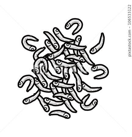 Whitebait illustration 106533122