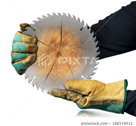 Gloved Hands Holding a Metal Circular Saw Blade and a Tree Trunk 106534012