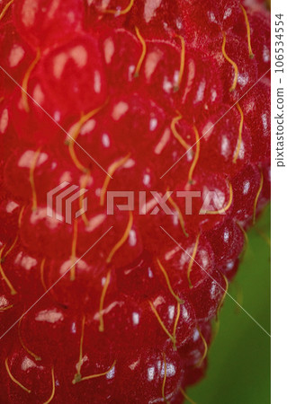 closeup shot of raspberry texture 106534554