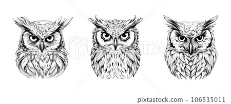 Owls black sketch. Angry owl, hand drawn wild forest birds heads. Decorative engraving illustration, abstract vector bird set Owls black sketch. Angry owl, hand drawn wild forest birds heads. Decorative engraving illustration, abstract vector bird set 106535011