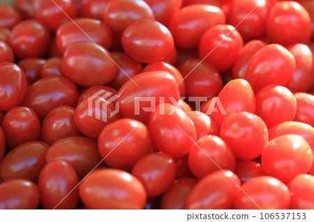 small red tomatoes background small red tomatoes background 106537153