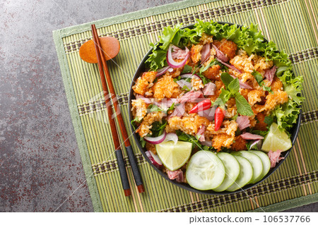 Lao Fermented Pork and Crisp Rice Salad or Yam Naem Khao closeup on the plate. Horizontal top view 106537766