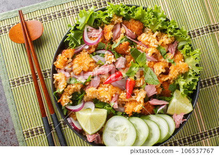 Yam Naem Khao Tod Spicy fermented Pork Salad with Crispy Rice, served with vegetables closeup on the plate. Horizontal top view Yam Naem Khao Tod Spicy fermented Pork Salad with Crispy Rice, served with vegetables closeup on the plate. Horizontal top view 106537767