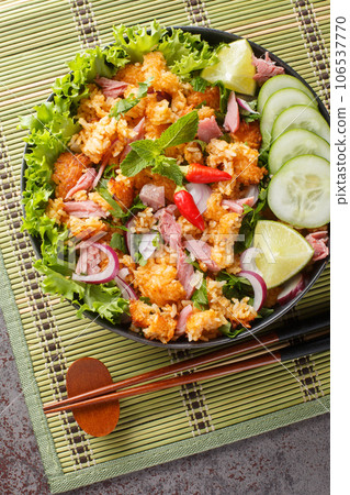 Laotian Nam Khao Crispy Rice Salad closeup on the plate. Vertical top view Laotian Nam Khao Crispy Rice Salad closeup on the plate. Vertical top view 106537770