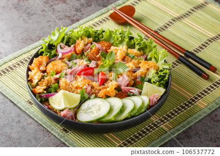 Lao Fermented Pork and Crisp Rice Salad or Yam Naem Khao closeup on the plate. Horizontal 106537772