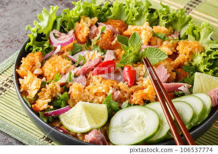 Lao fried rice ball salad with fermented pork and vegetables closeup on the plat. Horizontal 106537774