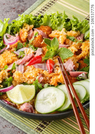 Laotian Nam Khao Crispy Rice Salad closeup on the plate. Vertical 106537776