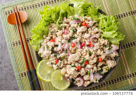 Thai Larb Gai salad made with ground chicken, red onion and fresh herbs closeup on the plate. Horizontal top view 106537778