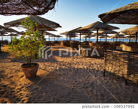 beach in the egypt beach in the egypt 106537892