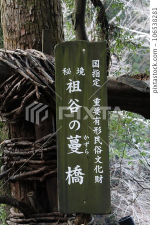 祖谷葛藤橋底部的縫隙驚心動魄 106538281