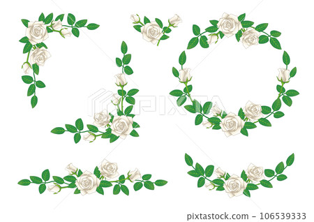 White rose flower illustration frame set White rose flower illustration frame set 106539333