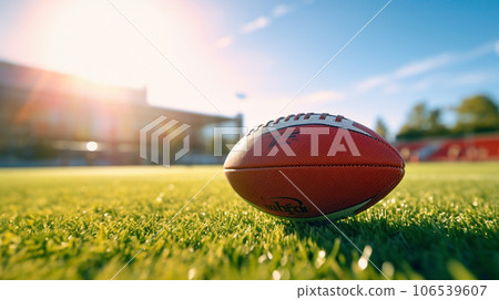草地上的橄欖球 106539607