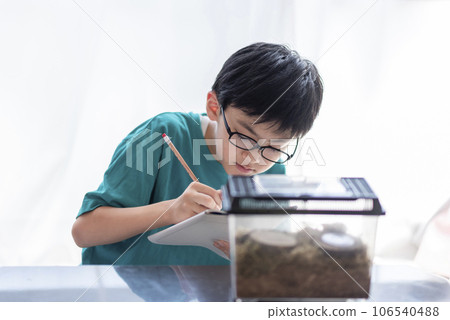 小學生觀察昆蟲 小學生觀察昆蟲 106540488