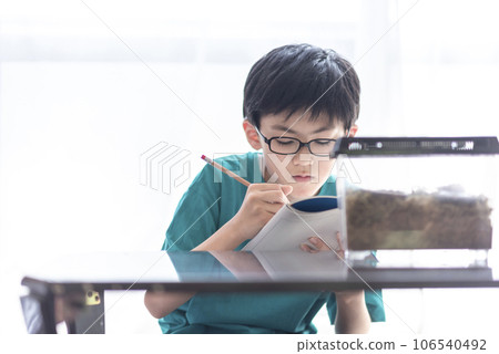 Elementary school boy observing insects Elementary school boy observing insects 106540492