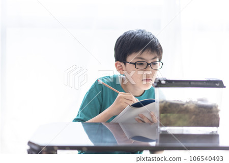 Elementary school boy observing insects Elementary school boy observing insects 106540493