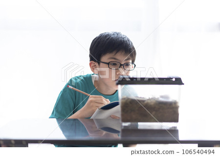 Elementary school boy observing insects Elementary school boy observing insects 106540494