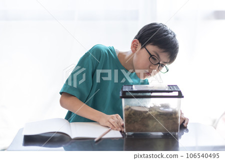 小學生觀察昆蟲 106540495