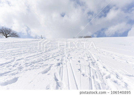 Snow mountain 106540895